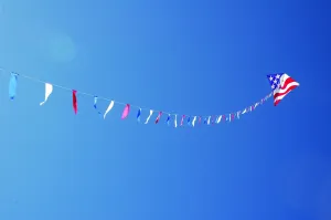 100 ft. Flag Line - Patriotic