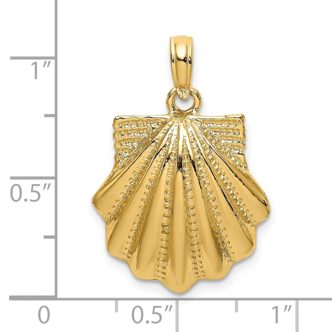 14k Yellow Gold Solid Textured Polished Finish Sea Scallop Charm Pendant