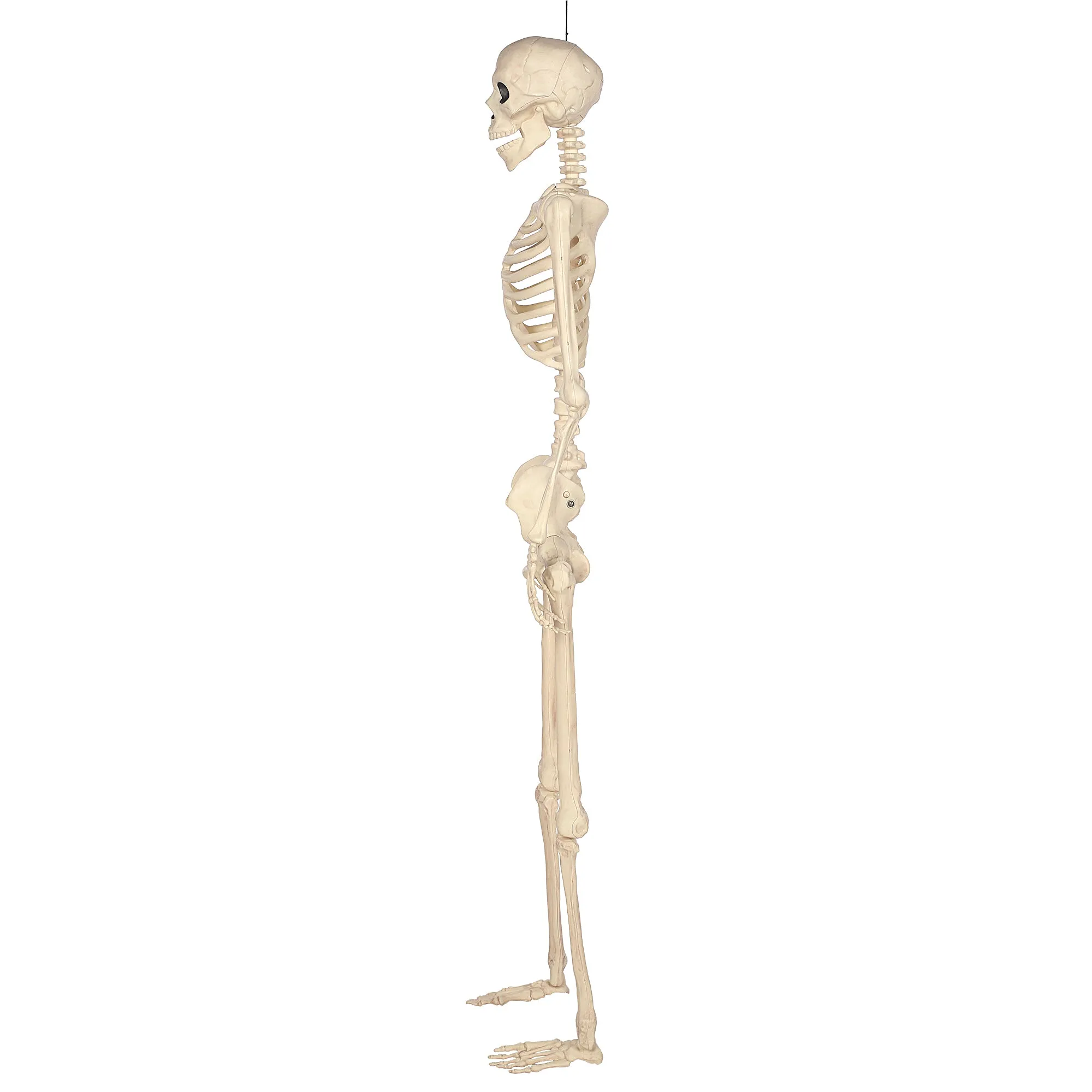 Halloween Skeletons, Scary Halloween Decorations for Outside