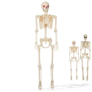 Halloween Skeletons, Scary Halloween Decorations for Outside