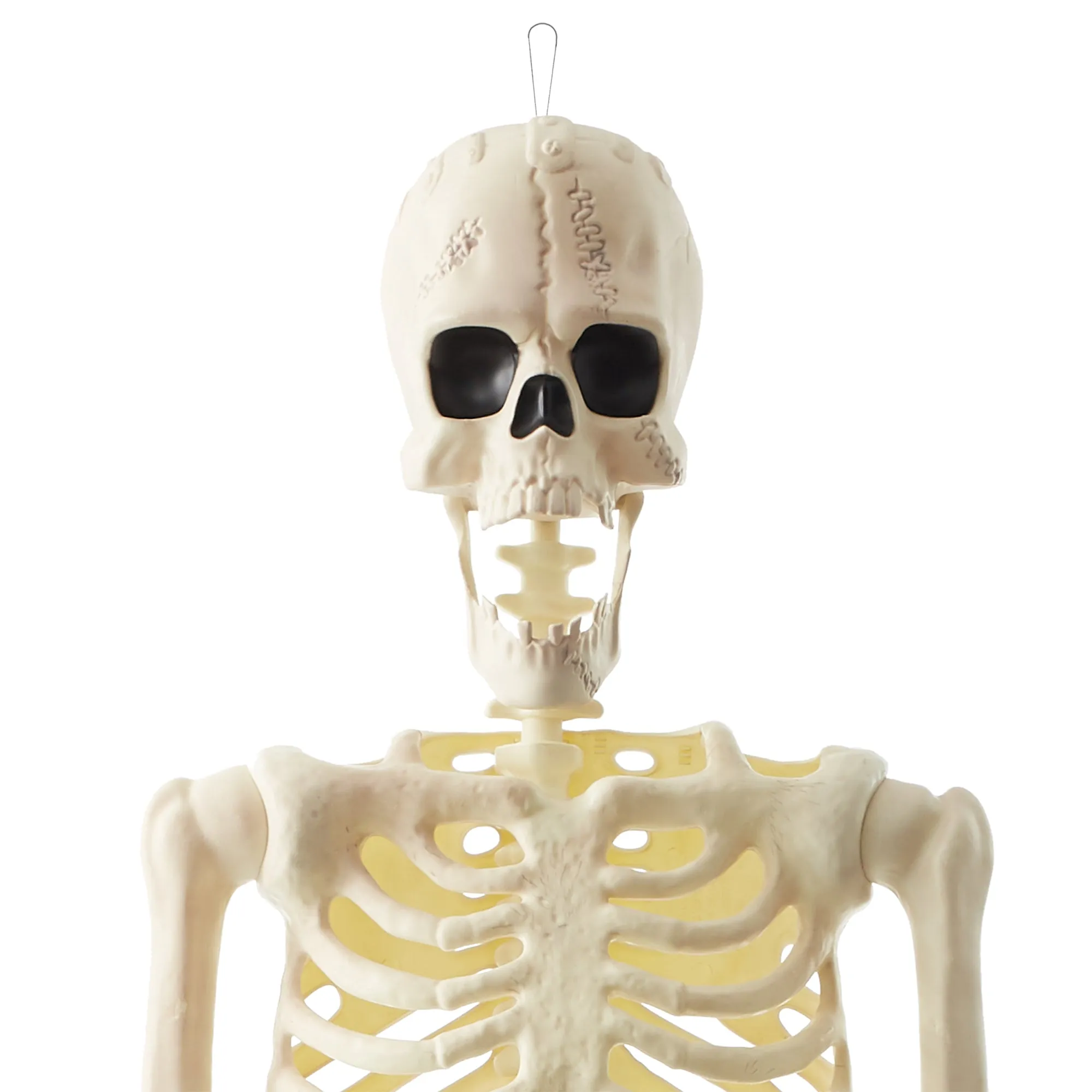 Halloween Skeletons, Scary Halloween Decorations for Outside