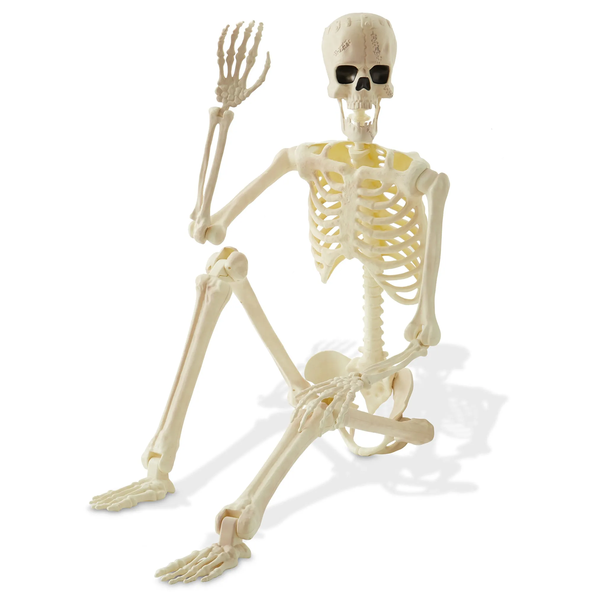 Halloween Skeletons, Scary Halloween Decorations for Outside