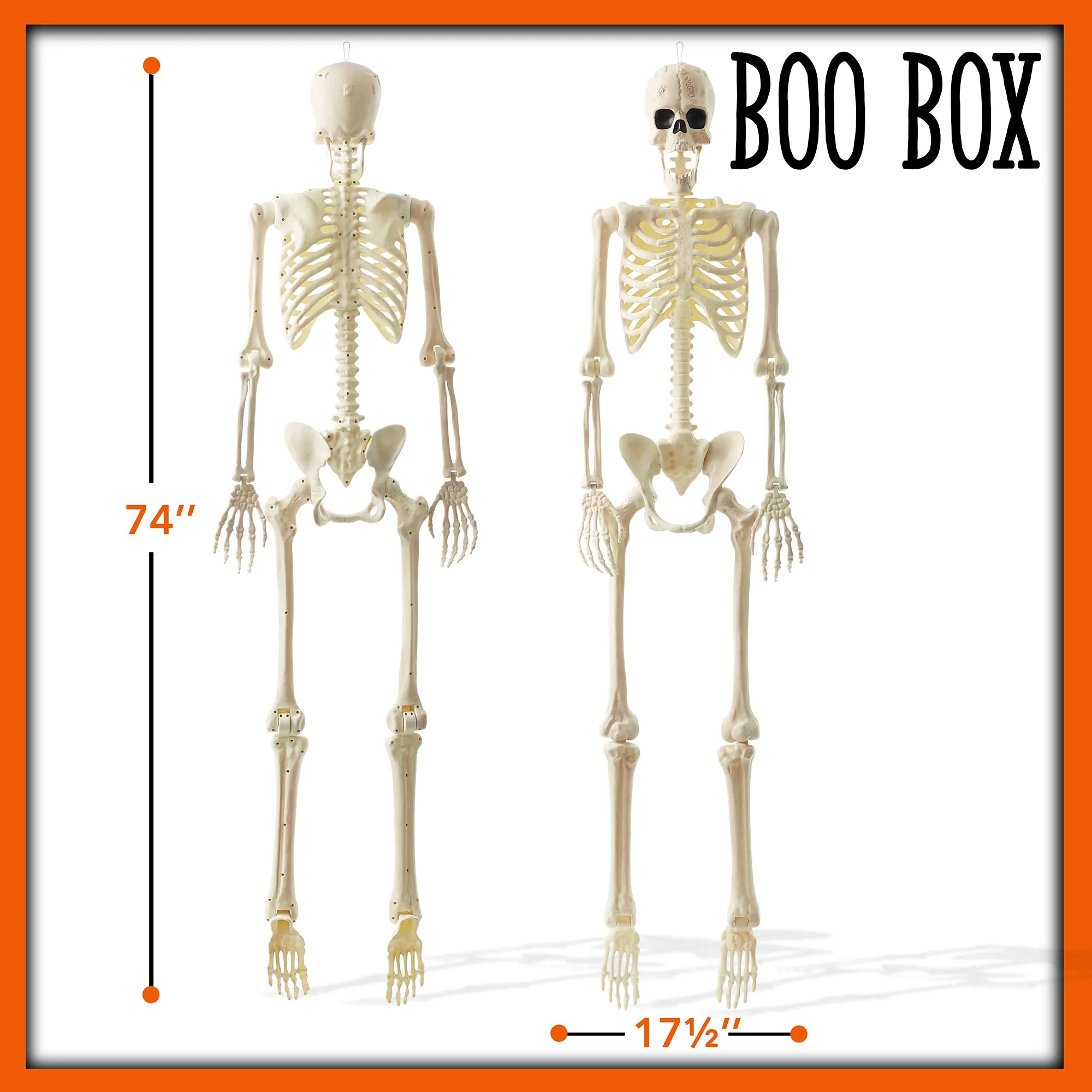 Halloween Skeletons, Scary Halloween Decorations for Outside