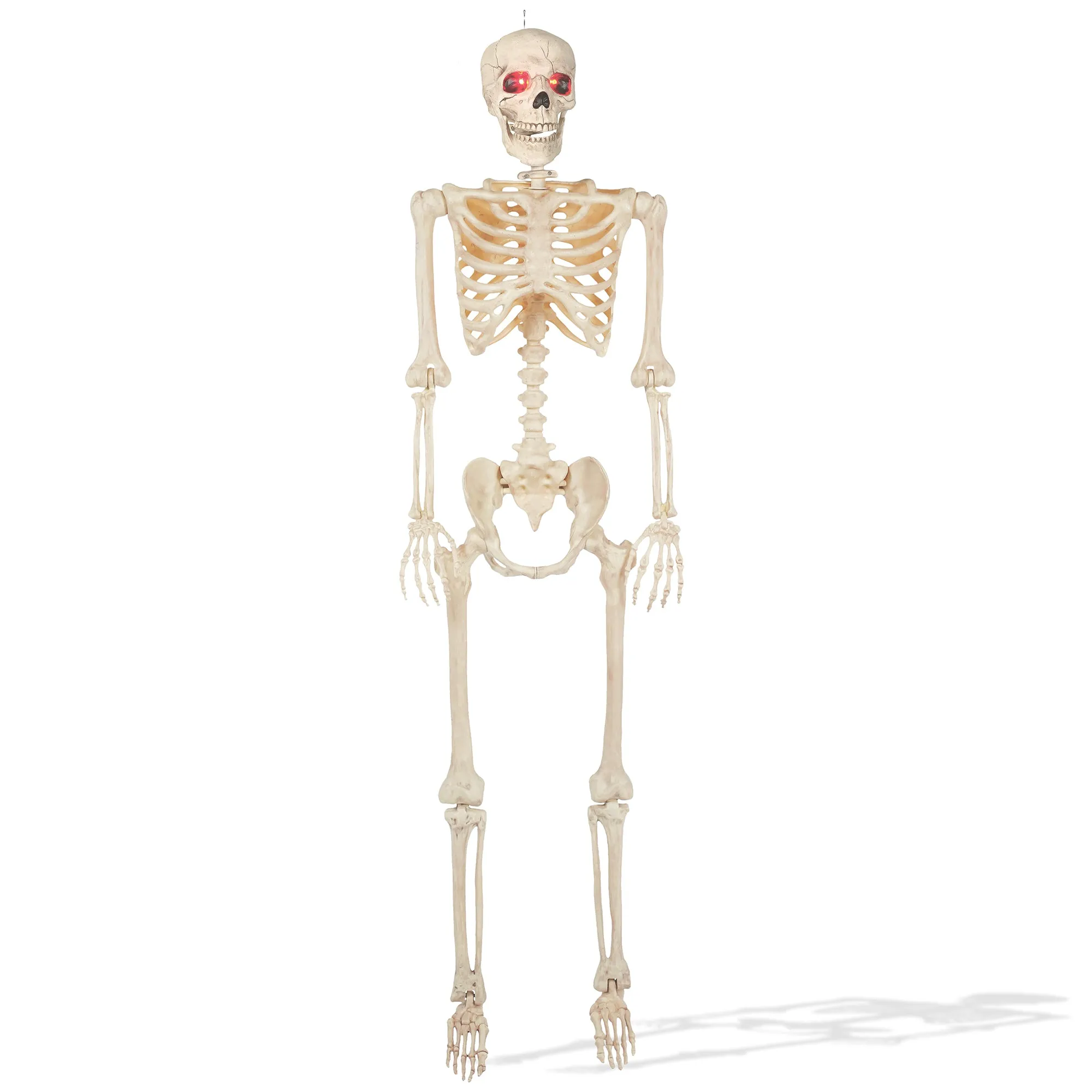 Halloween Skeletons, Scary Halloween Decorations for Outside